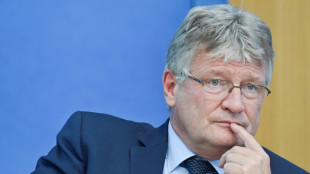 Immunitätsentzug für AfD-Chef Meuthen rückt näher