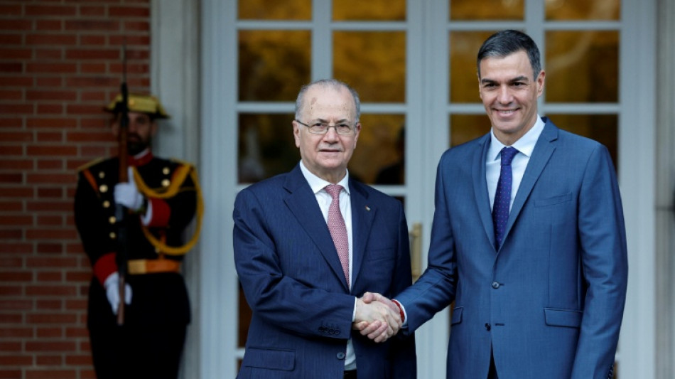 Spain holds 1st talks with Palestinian govt since recognising state