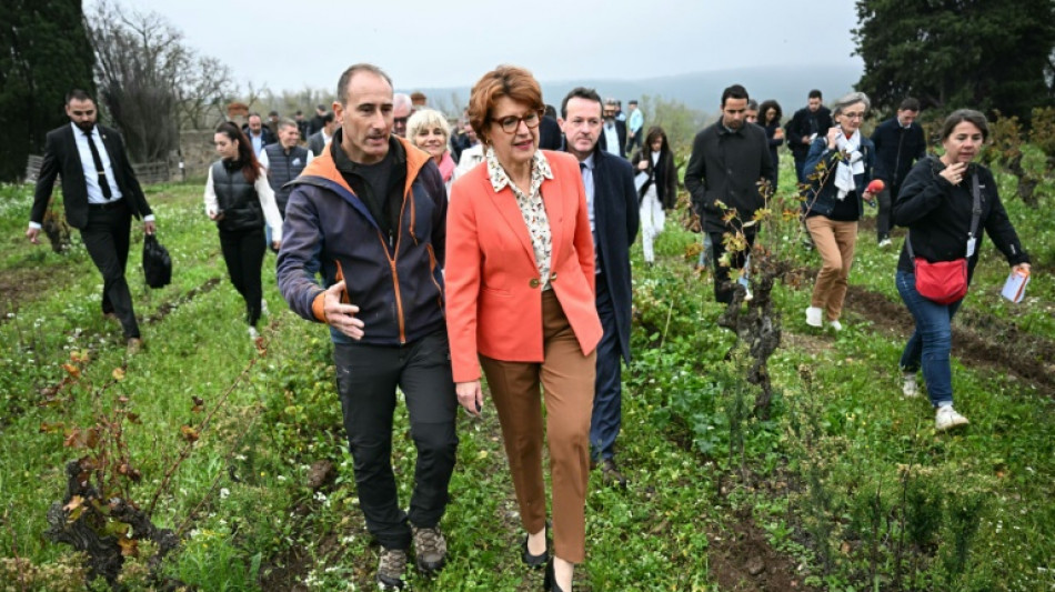 Agriculteurs en difficulté: la ministre annonce des aides de trésorerie