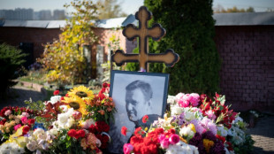 Navalny's tomb 'covered with fresh flowers every day': widow