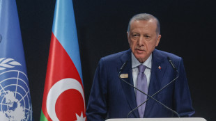 Erdogan, 'coraggioso atto del Cpi ridà fiducia a giustizia'