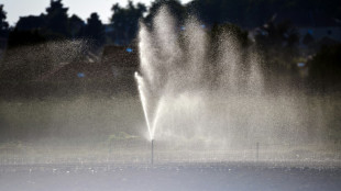 Nappes phréatiques: légère dégradation en janvier, situation "préoccupante" dans le Roussillon