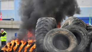 Fermeture d'usines Michelin: 150 salariés manifestent à Vannes