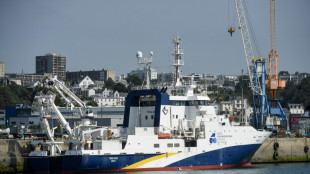 A Brest, les coraux d'eau froide à l'épreuve du réchauffement climatique