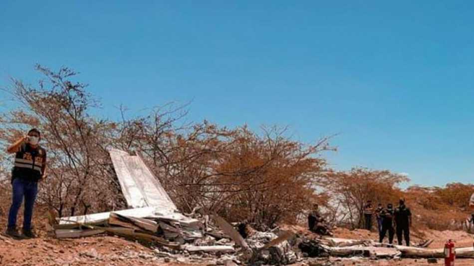 Perú espera informes de Chile y Holanda para identificar a los muertos en accidente en Nasca