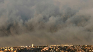 Incêndios florestais deixam 19 mortos e grande destruição em região turística do Chile