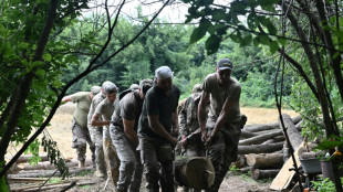 Ukraine : frappes près d'un réacteur nucléaire, départ de trois cargos chargés de céréales