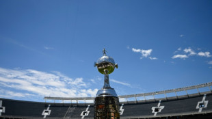 Copa Libertadores: finale 100% brésilienne entre Botafogo et l'Atlético Mineiro