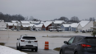 Storms in eastern US claim nine lives: officials