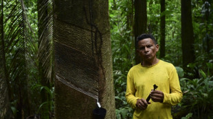 Renascimento da borracha põe economia sustentável de pé na Amazônia