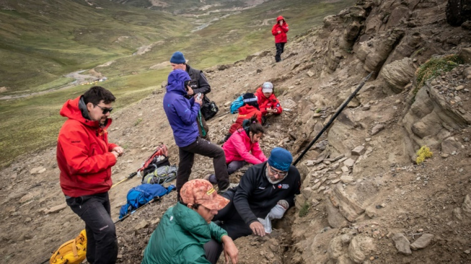 Científicos encuentran cuatro tipos de dinosaurios en la Patagonia chilena