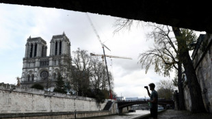 O 'despertar' do órgão, uma das etapas da reabertura da Notre-Dame