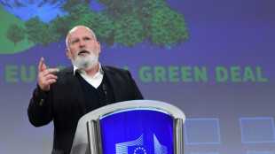 Frans Timmermans, l'architecte du Pacte vert de l'UE en lice pour diriger les Pays-Bas