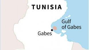 Fuel-laden ship sinks off Tunisia coast