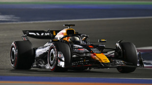 Gp Qatar: Verstappen scatta in testa, subito safety car in pista