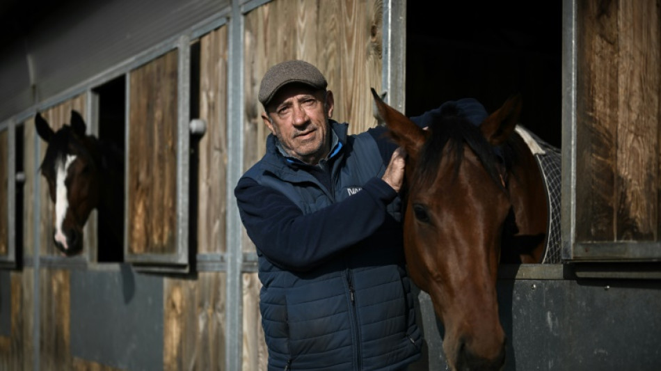 François Nicolle, l'entraîneur N°1 en quête d'un sacre dans le Grand Steeple-chase de Paris