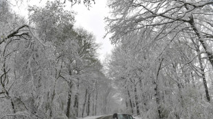 La tempête Caetano se décale vers l'est, 270.000 personnes privées d'électricité