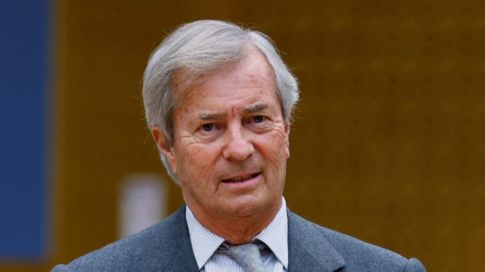 Bolloré se désiste de ses actions en diffamation contre les auteurs de "Vincent tout-puissant" 