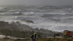 Tempête Darragh: la circulation des trains perturbée, des coupures d'électricité