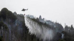 "Stufe Fünf von Fünf": Feuerwehr warnt vor Waldbrandgefahr in Teilen Deutschlands