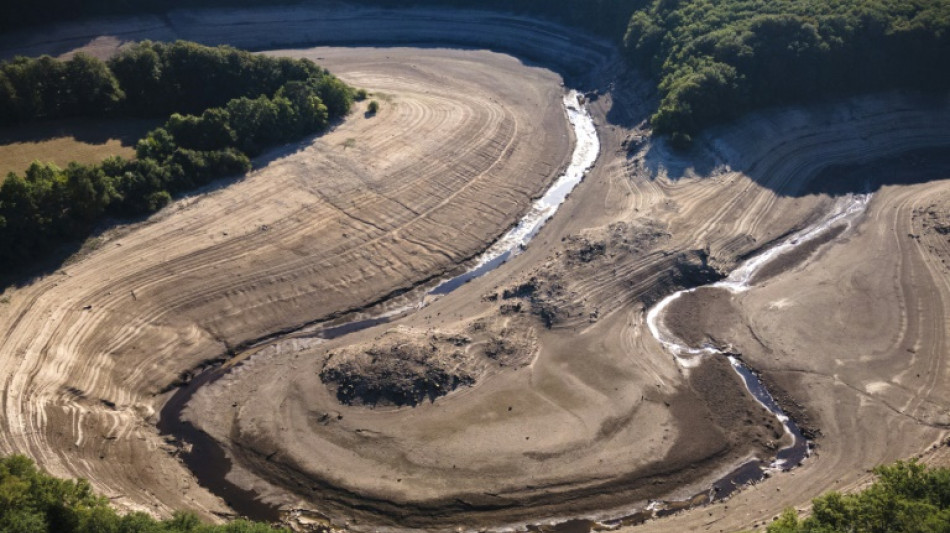 Un été record de canicules, annonciateur de l'avenir, avertit Météo France