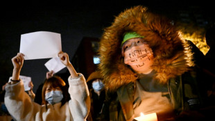 'Long live the people!' Beijingers gather for frigid anti-lockdown rally