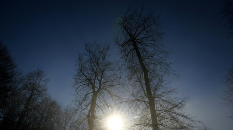 Wetterdienst erwartet eher mildem Winter in Deutschland