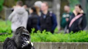 Zoos wollen Besucher intensiver für Naturschutz begeistern