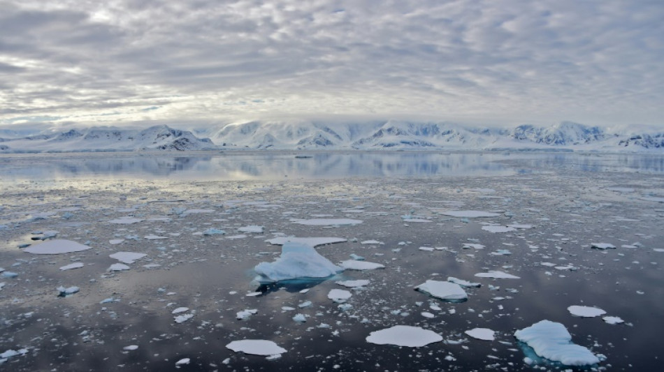 L'Antarctique à plus de 30°C au-dessus de la normale cette semaine