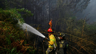 Colômbia em alerta por 21 incêndios florestais em meio a calor recorde