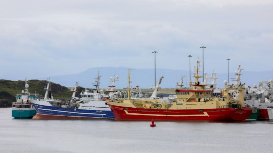 En Irlande, le réchauffement de l'Atlantique menace la pêche 