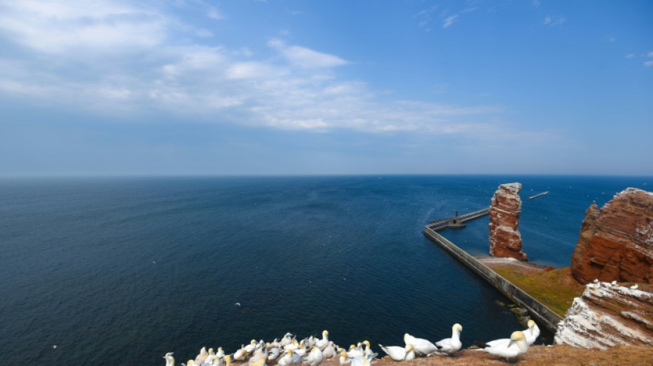 Forschende messen neuen Temperaturrekord in Nordsee vor Helgoland