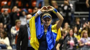 WTA: l'Ukrainienne Yastremska chute sur la dernière marche à Lyon contre Zhang Shuai