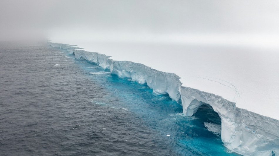 'White wall' of ice drifts toward remote penguin haven