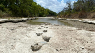 La sécheresse laisse apparaître des traces de dinosaures dans le lit d'une rivière texane