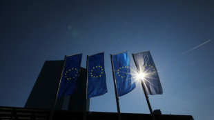 Ukraine crisis, inflation risks loom over ECB meeting