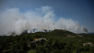 La Grèce frappée par "le plus grand incendie jamais enregistré dans l'UE"