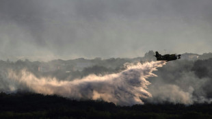 Ardèche: l'incendie probablement criminel en voie d'être fixé