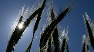 Außergewöhnliche Hitzewelle mit Temperaturen von fast 40 Grad überrollt Spanien