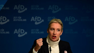 Alice Weidel, porte-drapeau d'une extrême droite allemande prête à gouverner