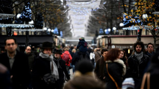 Le pouvoir d'achat, première préoccupation des Français dans un pays "en déclin" selon un sondage