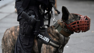 Bei privatem Empfang in Rheinland-Pfalz: Polizeihund verletzt zweimonatiges Baby