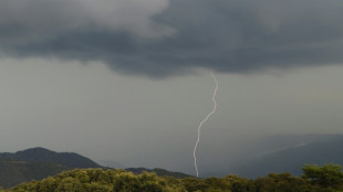 Orages: un mort et neuf blessés dont un grave dans un camping en Corse