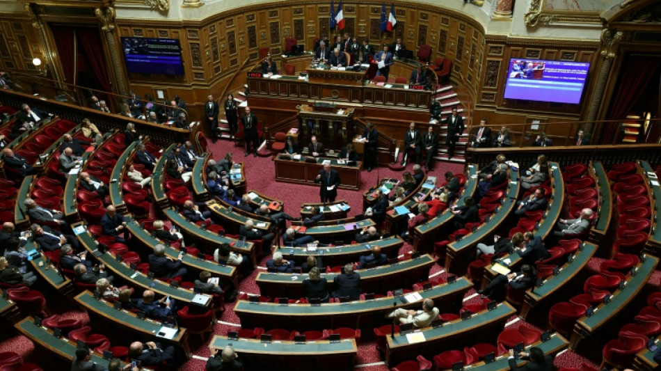 Le budget au Sénat, dernières heures apaisées pour un gouvernement en sursis