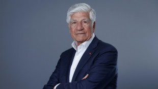 Art: Maurice Lévy rachète un concurrent de sa plateforme de vente en ligne 