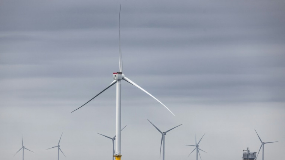 Pays-Bas: les énergies renouvelables assurent pour la première fois la majorité de l'électricité