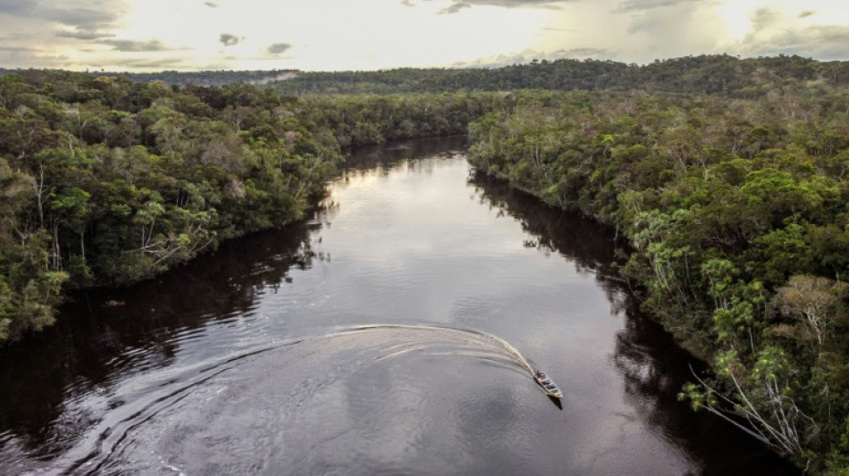 Carbon credits 'ineffective', says corporate climate watchdog