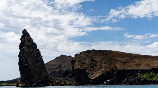 Millonaria conversión de deuda por naturaleza en Ecuador beneficia a islas Galápagos