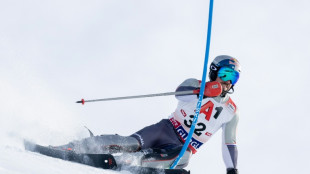 Ski alpin: blessé au genou, Hirscher met fin à sa saison... et à sa carrière ?