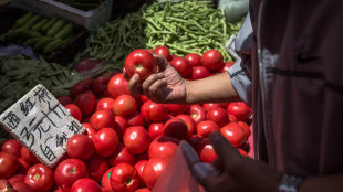 Inchiesta Bbc, pomodori 'italiani' in Gb vengono da Xinjiang